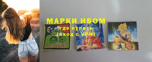 шишки Магас
