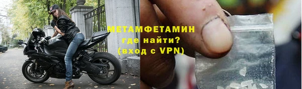 шишки Магас