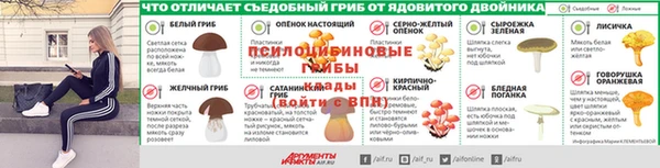mdpv Майский