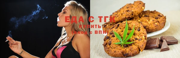 шишки Магас