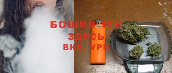 шишки Магас