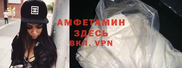 шишки Магас