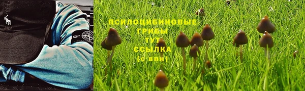 mdpv Майский