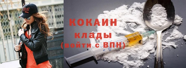 шишки Магас