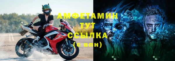 шишки Магас