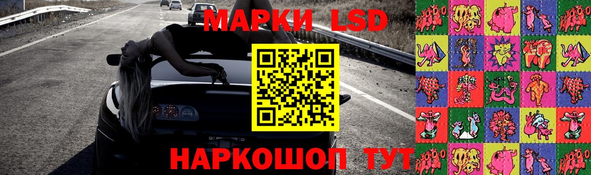 Конопля Черногорск