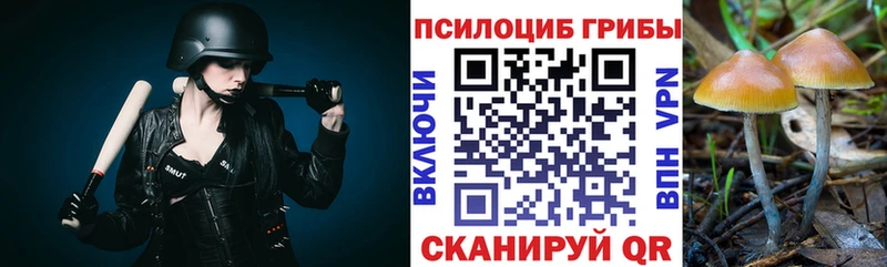 сколько стоит  Черногорск  Псилоцибиновые грибы Cubensis 