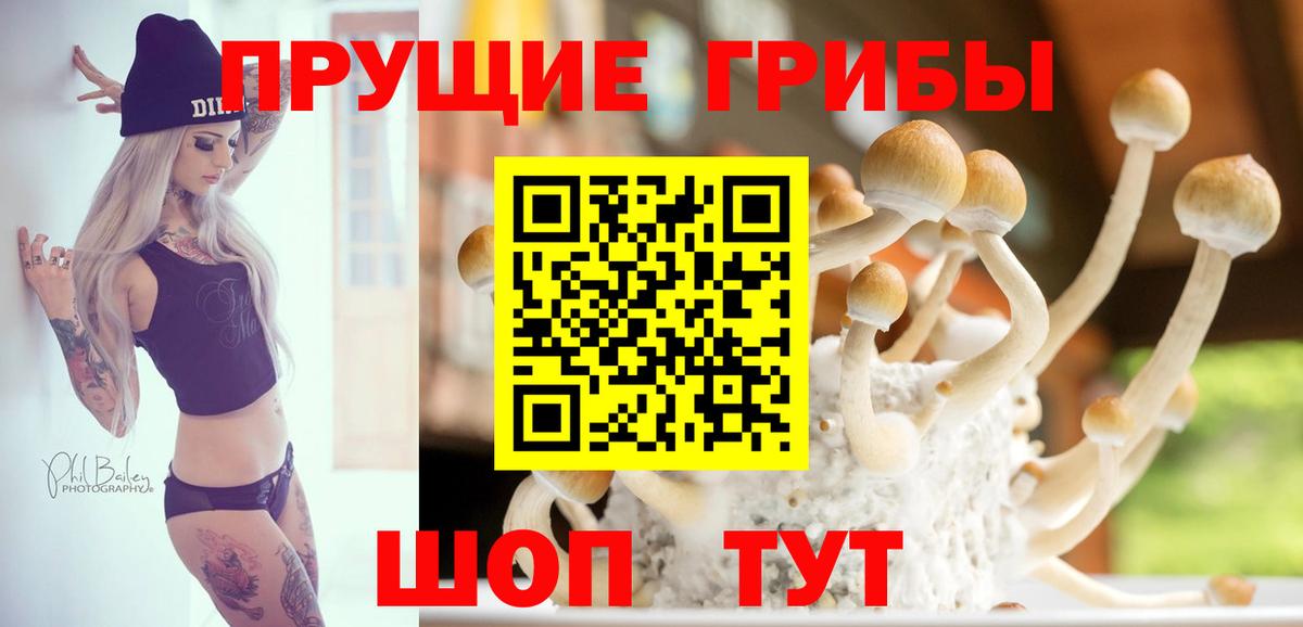 Галлюциногенные грибы Cubensis  наркошоп  Черногорск 